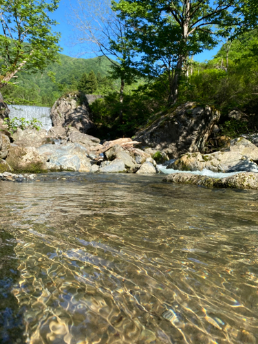 イワナの釣果