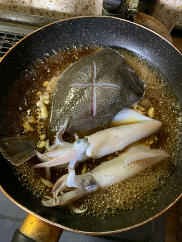 カレイの釣果