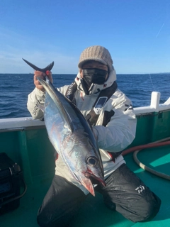 ビンチョウマグロの釣果