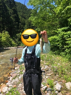 イワナの釣果