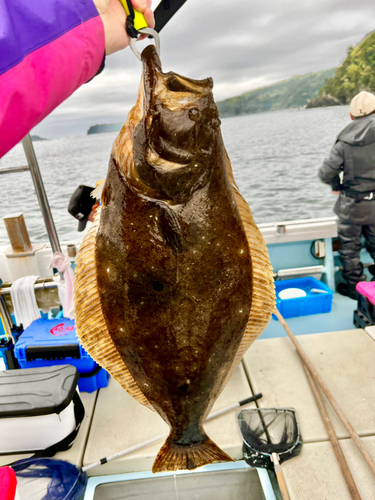 ヒラメの釣果