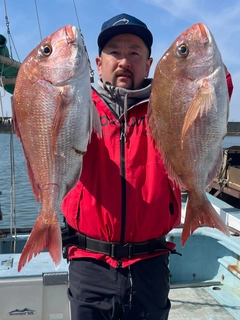 マダイの釣果