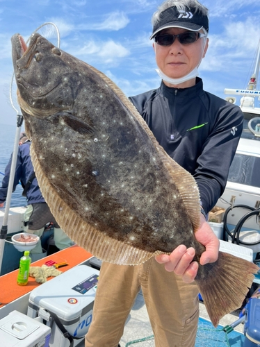 ヒラメの釣果