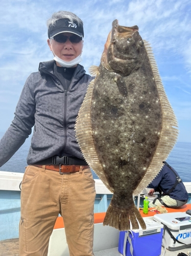 ヒラメの釣果