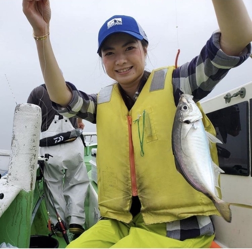 マアジの釣果