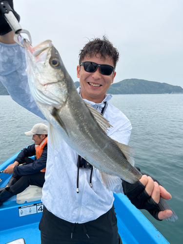 スズキの釣果