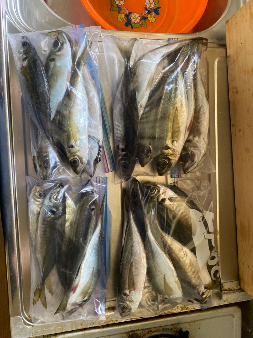 隆治さんの釣果 2枚目の画像