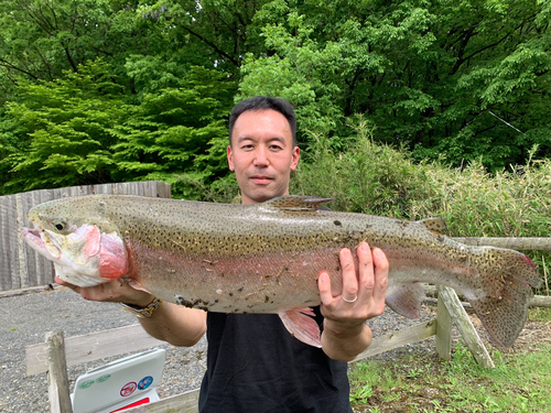 トラウトの釣果