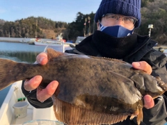 カレイの釣果