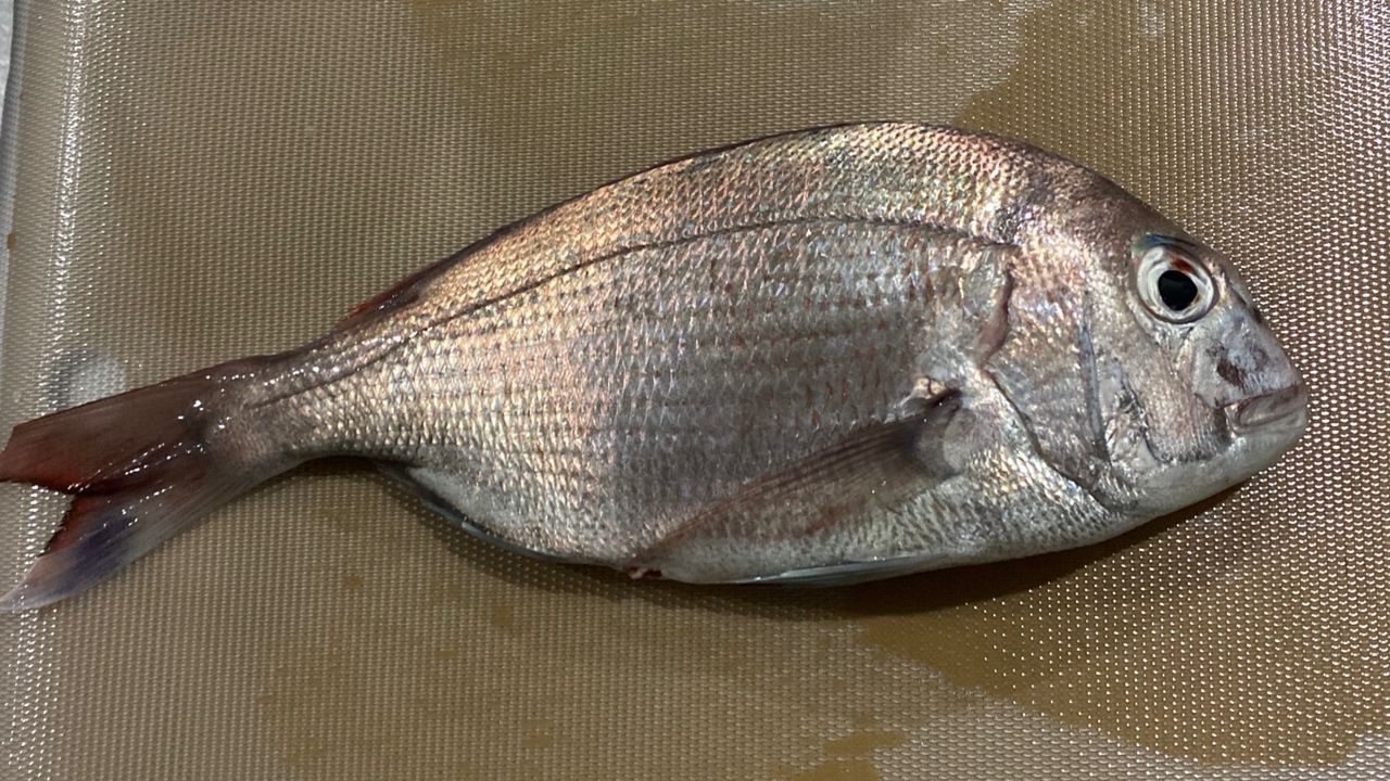 タイ
