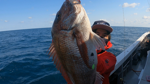 マダイの釣果