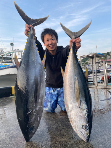 キハダマグロの釣果