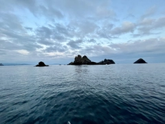 アラカブの釣果