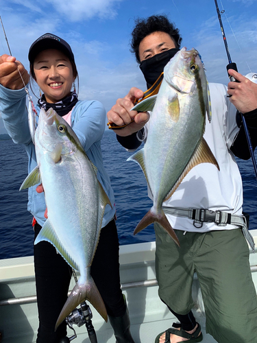 カンパチの釣果