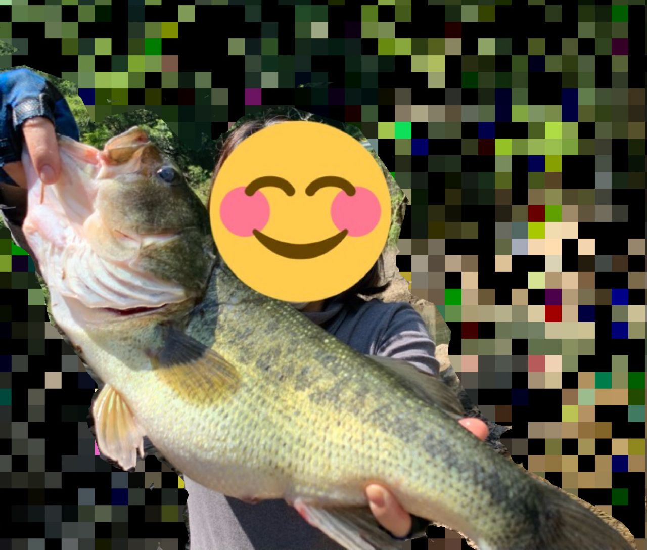 ブラックバス