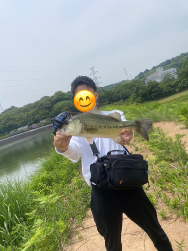 ブラックバスの釣果