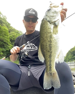 ブラックバスの釣果