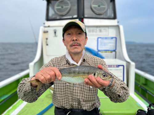 マアジの釣果