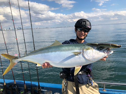 ブリの釣果