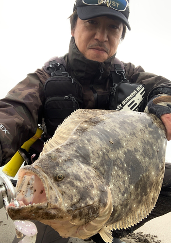 ヒラメの釣果