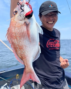 マダイの釣果