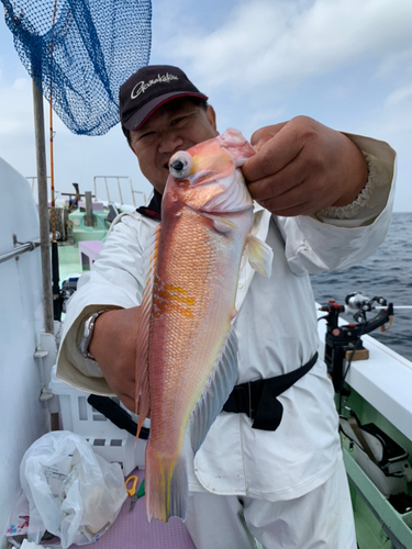 アマダイの釣果