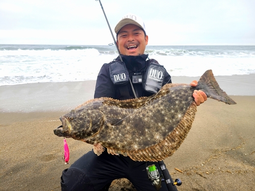 ヒラメの釣果