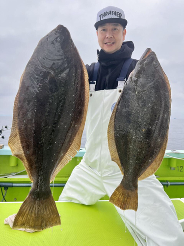 ヒラメの釣果