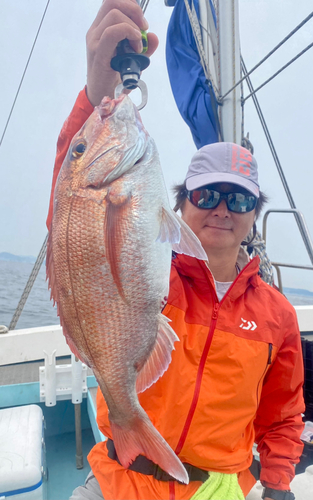 マダイの釣果