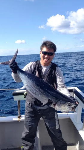 ビンチョウマグロの釣果