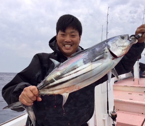 カツオの釣果