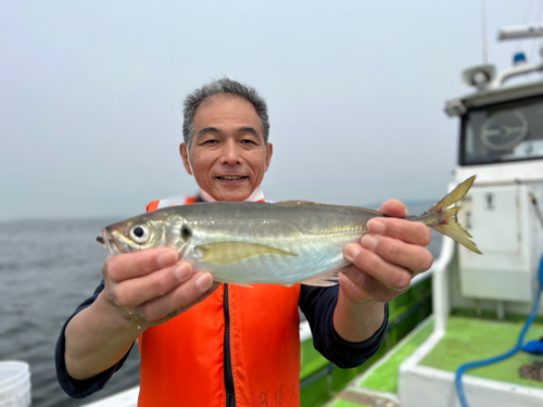 マアジの釣果