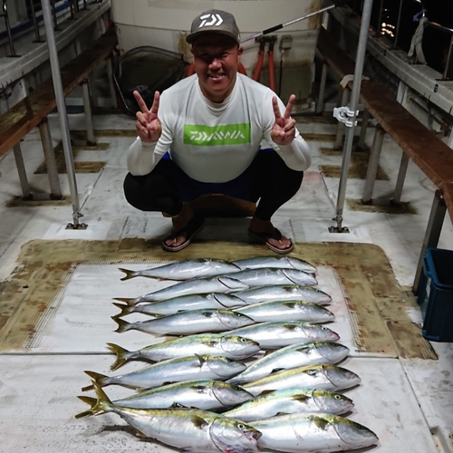 ハマチの釣果