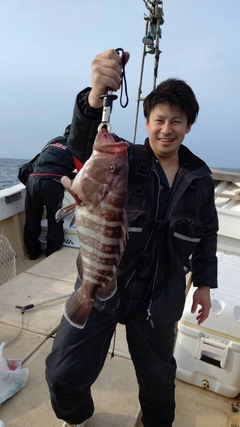 マハタの釣果