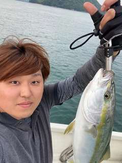 ハマチの釣果