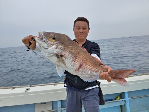 マダイの釣果