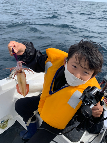 ヤリイカの釣果