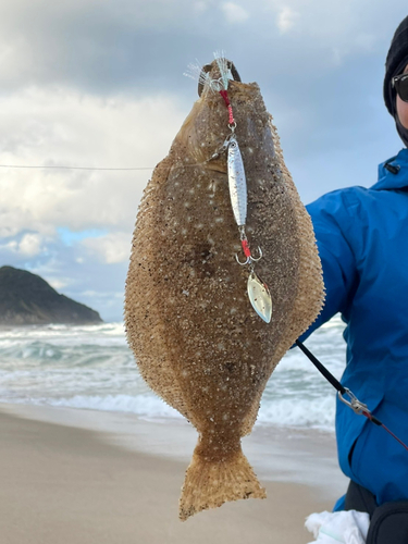 ヒラメの釣果