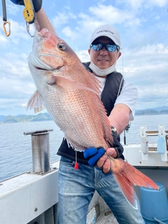 マダイの釣果