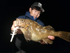 エゾメバルの釣果