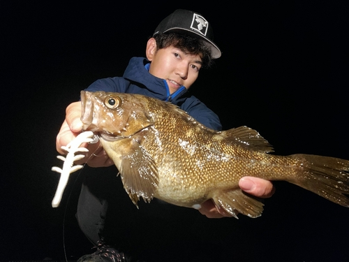 エゾメバルの釣果