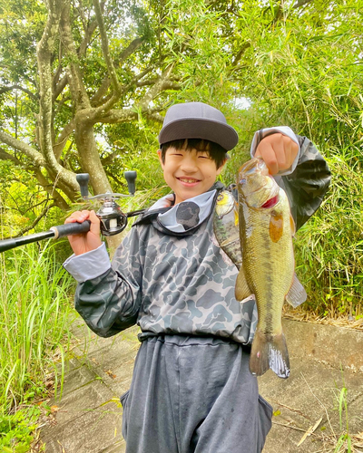 ブラックバスの釣果