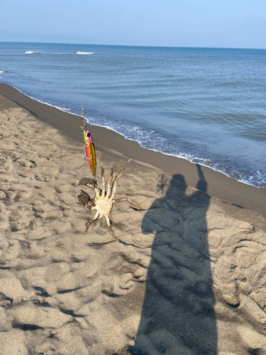 カニの釣果