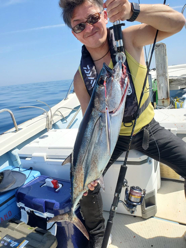 ビンチョウマグロの釣果