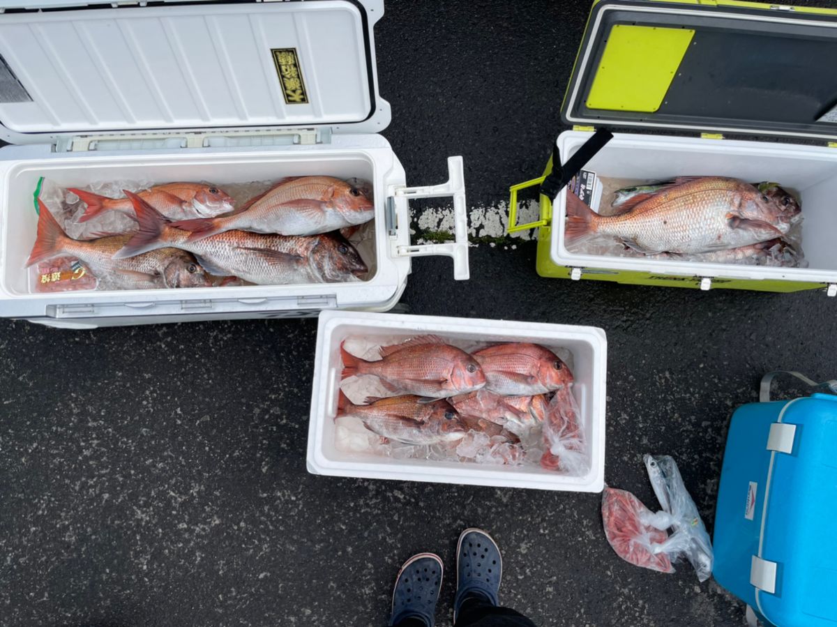 ダイキ14さんの釣果 3枚目の画像