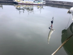 釣果
