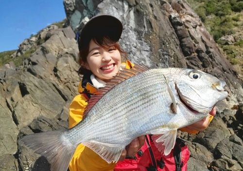 ヘダイの釣果