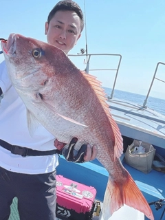 マダイの釣果