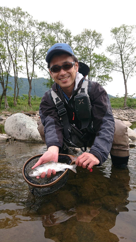 アマゴの釣果