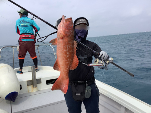 アカジンミーバイの釣果